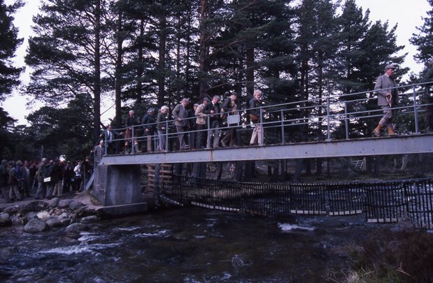 Joint Forestry Societies&rsquo; Tour of North Scot