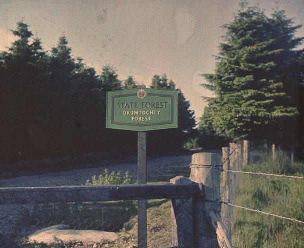 Drumtochty Forest Sign