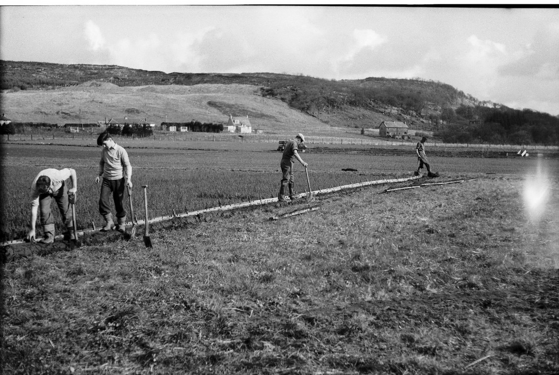 Inverinan Forest Nursery circa 1963