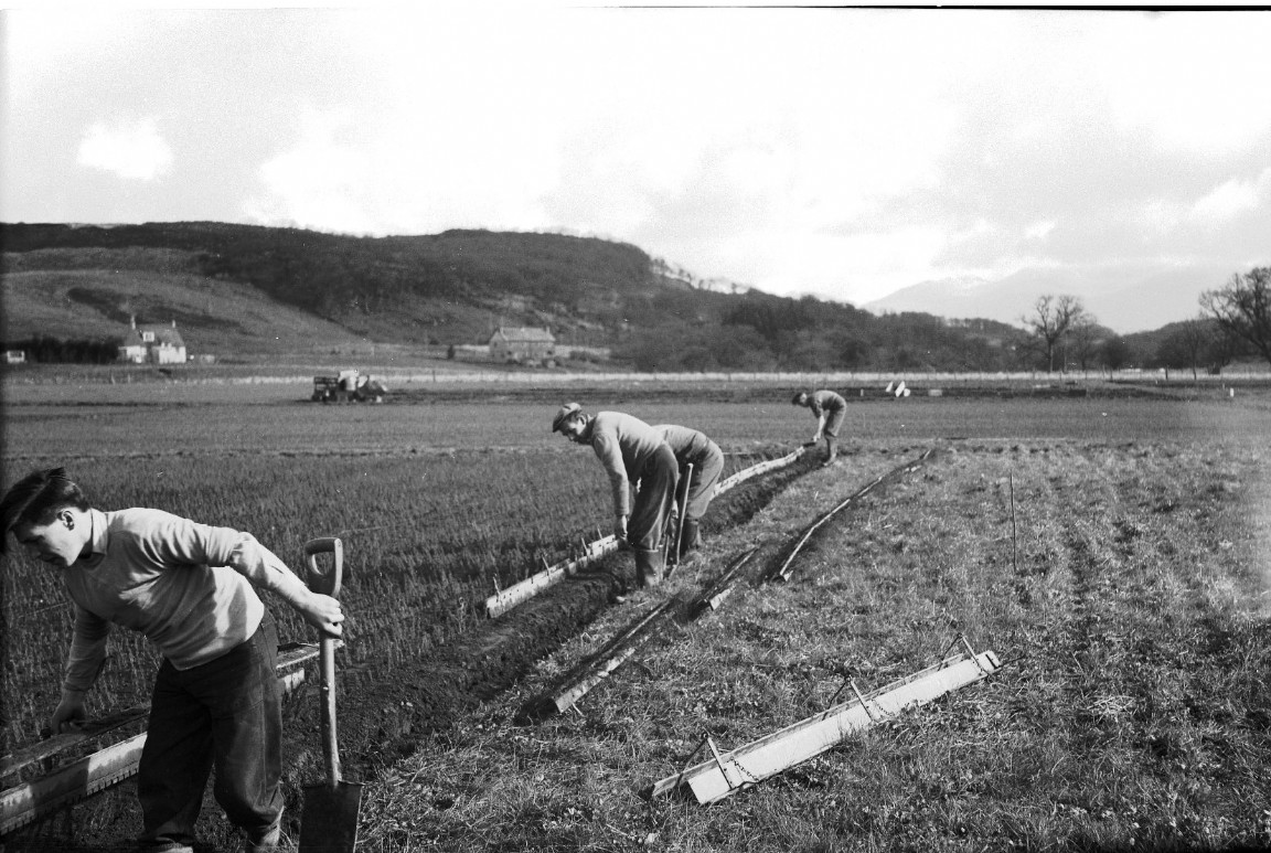 Inverinan Forest Nursery circa 1963