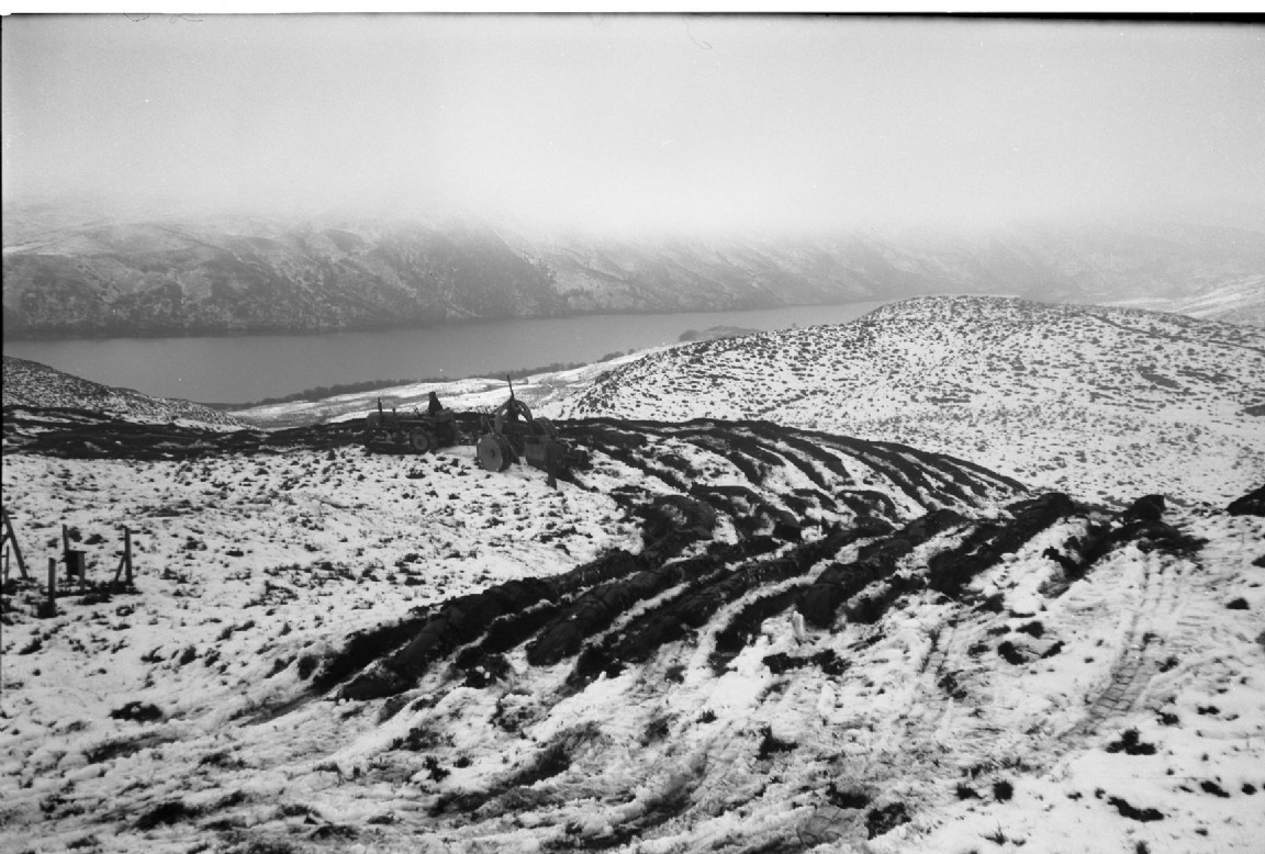 Inverinan Forest &mdash; Ploughing above Loch Avic