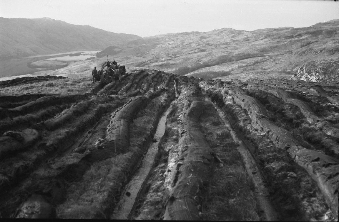 Inverinan Forest &mdash; Ploughing above Loch Avic