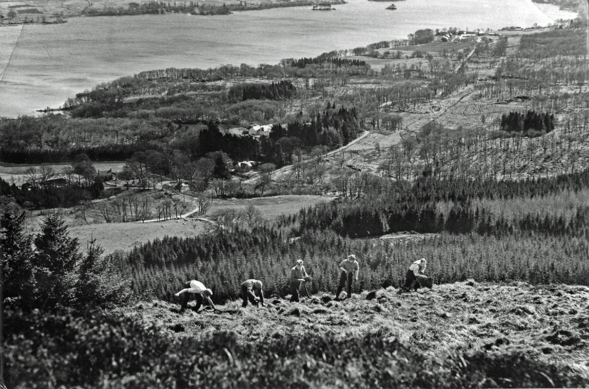 Planting above Loch Avich &mdash; Inverinan Forest
