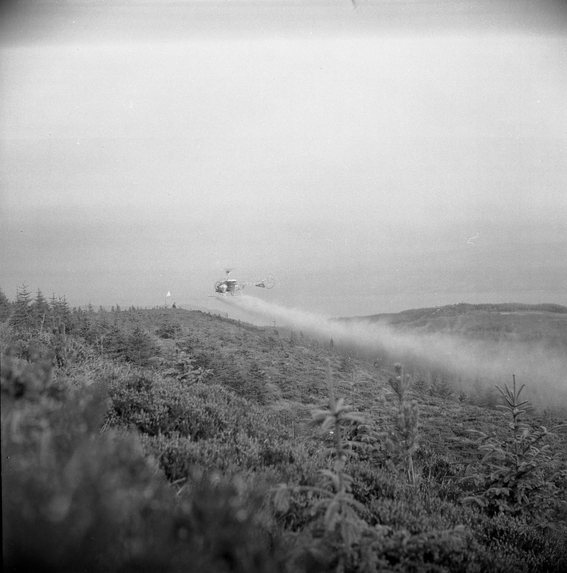Aerial Fertilising with Autair Helicopter
