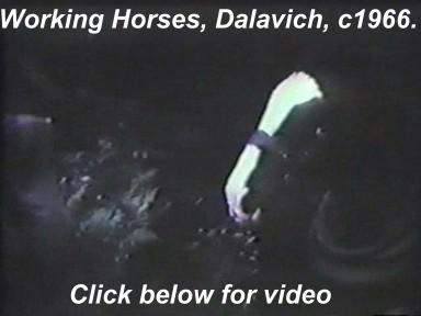 VIDEO - working horses, Dalavich, 1966