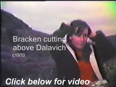 VIDEO - Bracken cutting above Dalavich, c1970