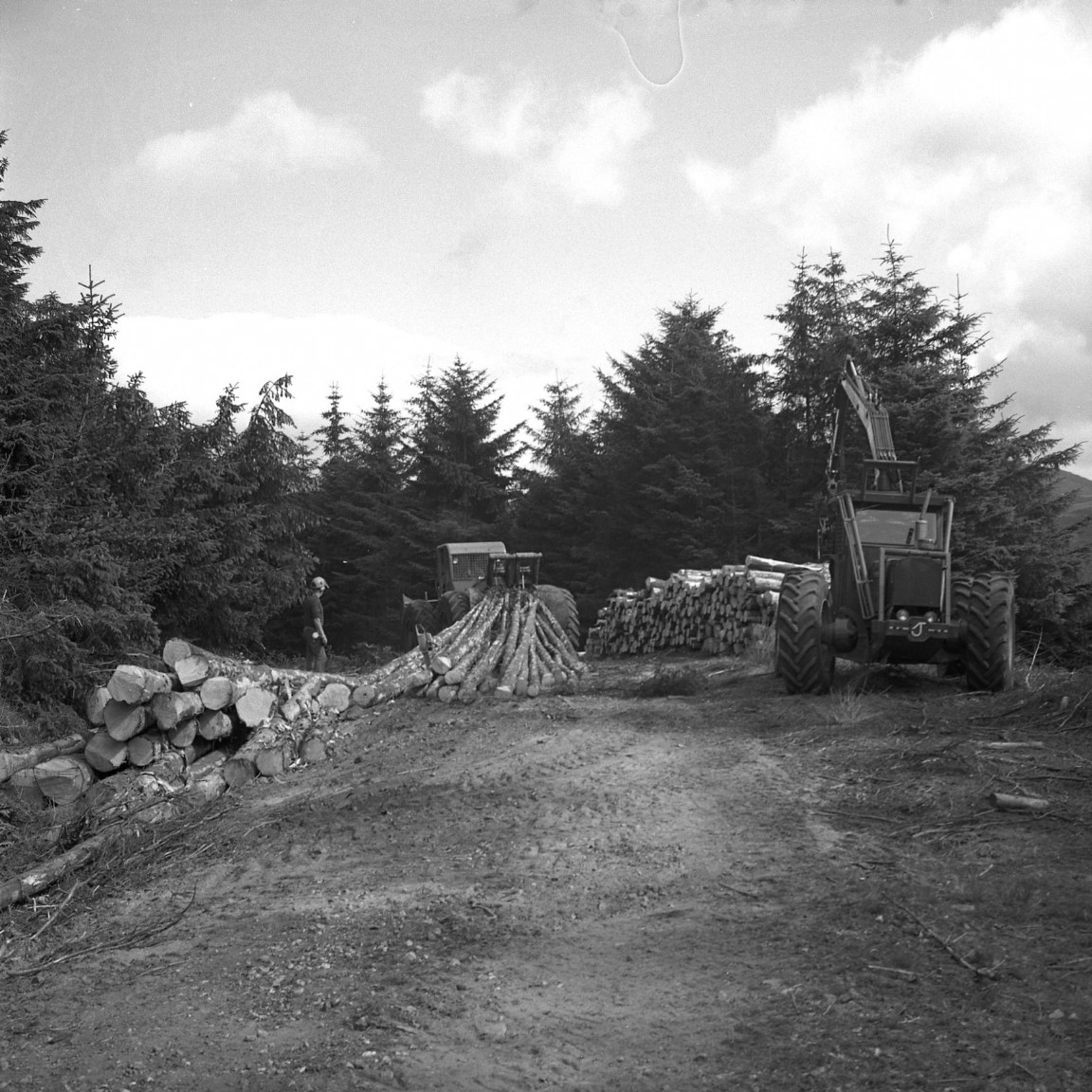 Timber harvesting operations &mdash; Strathyre For