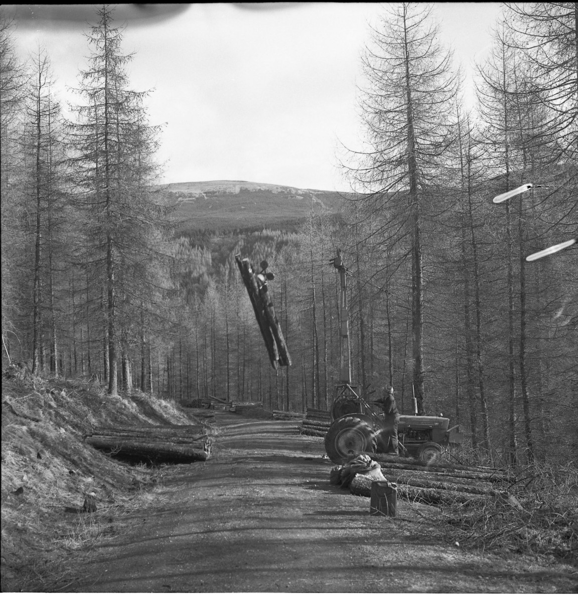 Cable crane winch extraction &mdash; Strathyre For