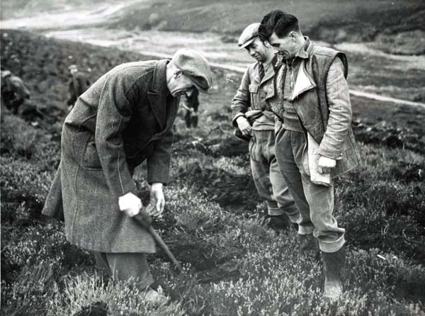 Planting squad at Hobseat, Fetteresso Forest