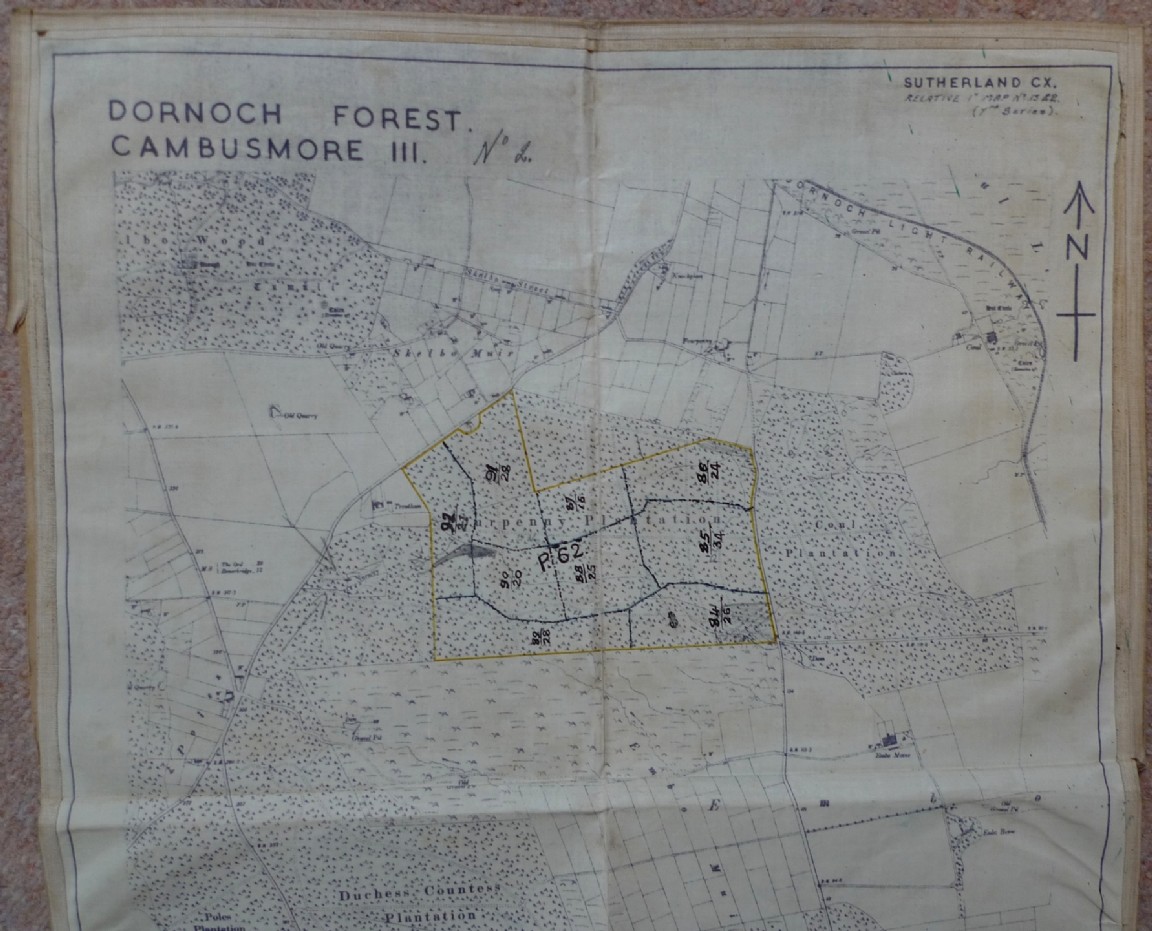 Dornoch Forest � Fourpenny Wood