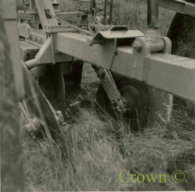 Cuthbertson Turf Cutting Plough - Twiglees Forest