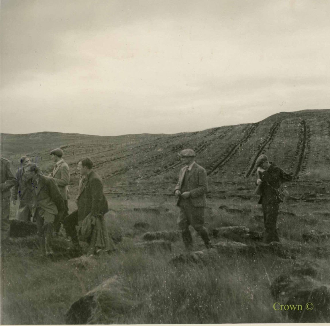 Cuthbertson Turf Cutting Plough -Twiglees Forest