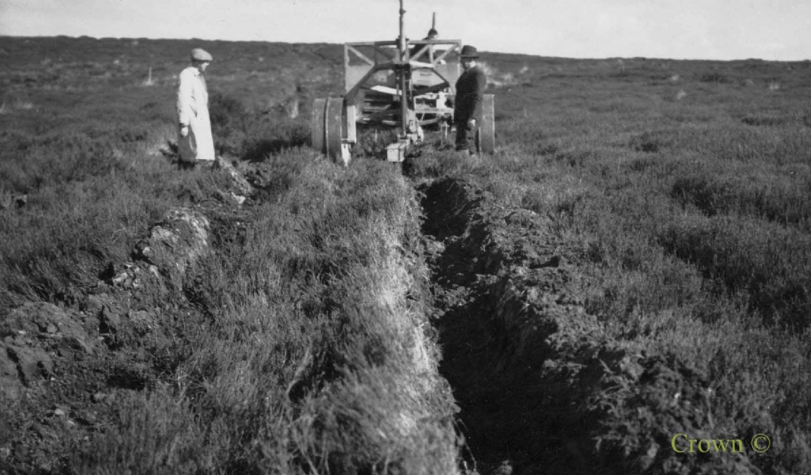 Tine plough head on Cuthbertson frame Brownmoor