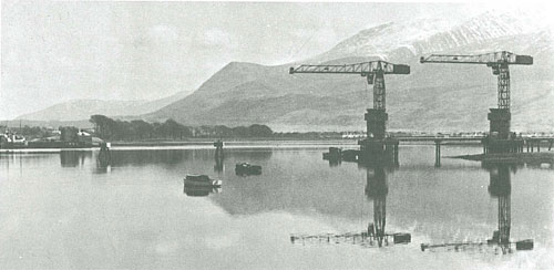 'Dolphins' - Cranes