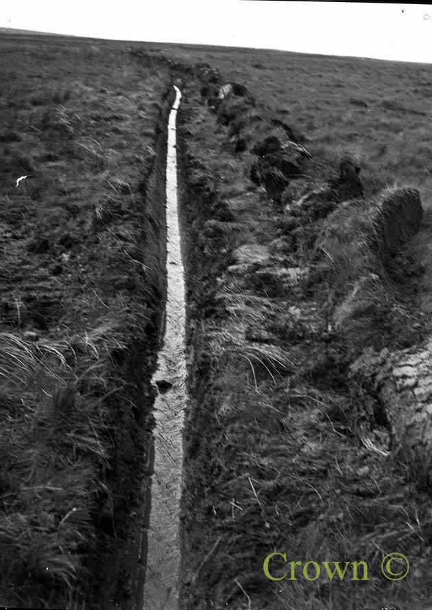Cuthbertson Hill plough demonstration