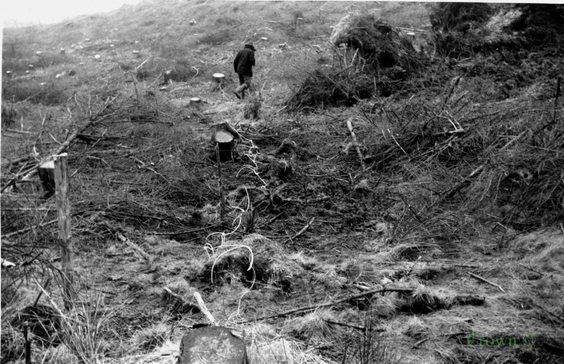  Explosives to make drain at Unknown Forest 