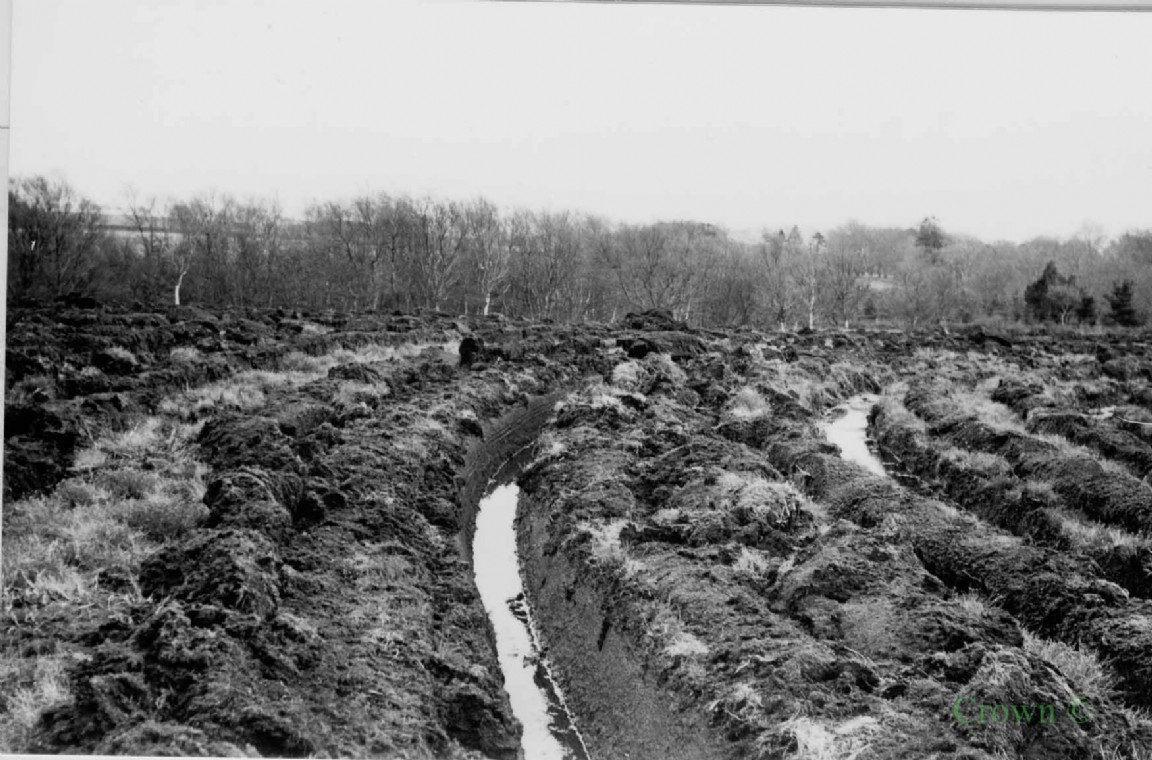 Jordanlaw Moss Ploughing and draining  