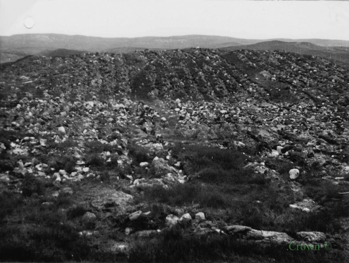 Tine ploughing at Ceanacroc Forest 