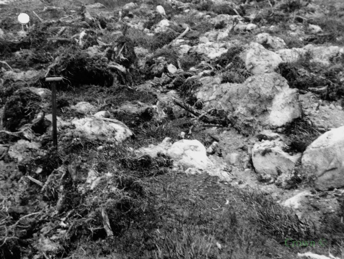 Mounted Tine ploughing at Inshriach Forest  