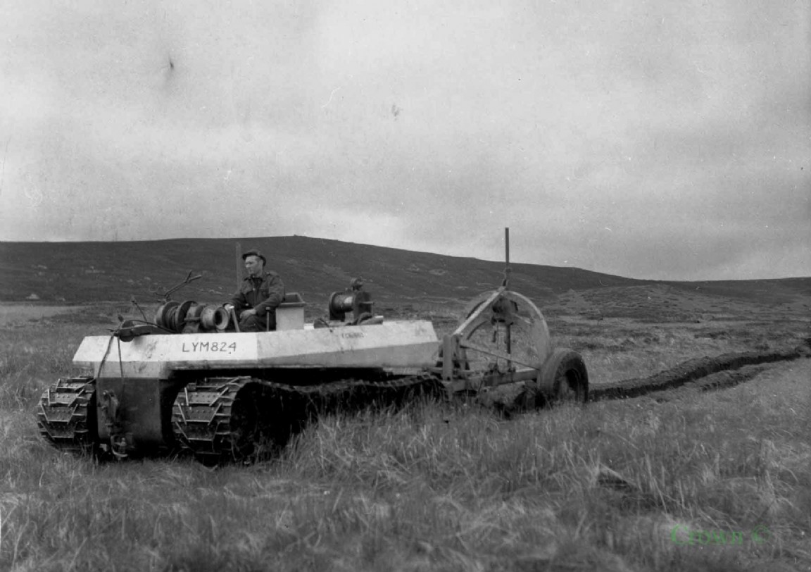 Cuthbertson Buffalo and plough in Clashindarroch  