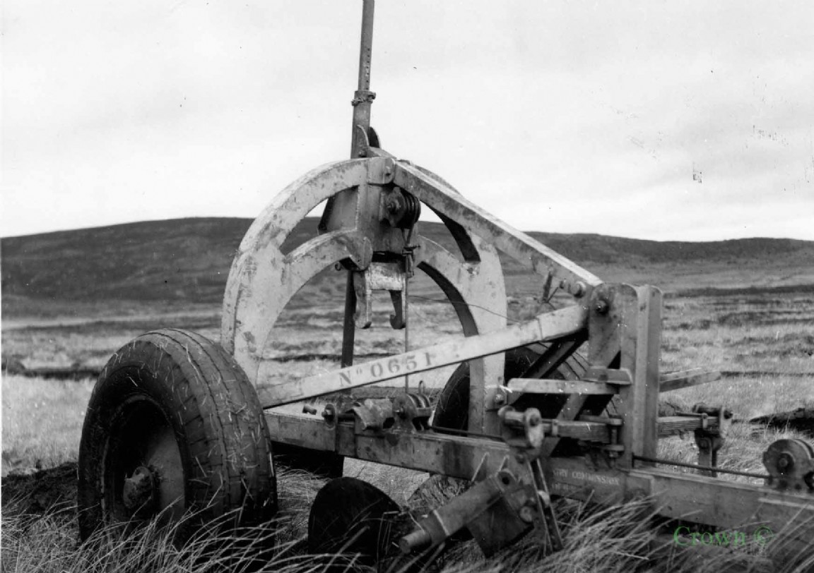 Cuthbertson Buffalo and plough in Clashindarroch 