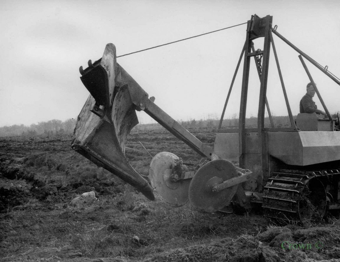 Cuthbertson Buffalo and plough Jordanlaw Moss