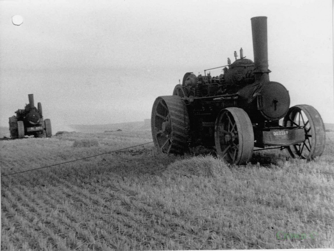Steam traction engines near Stenton Forest 