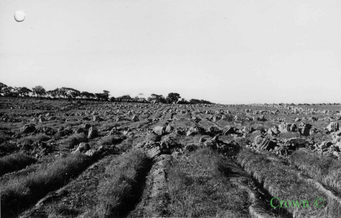 Draining site at Halwill Draining Experiment