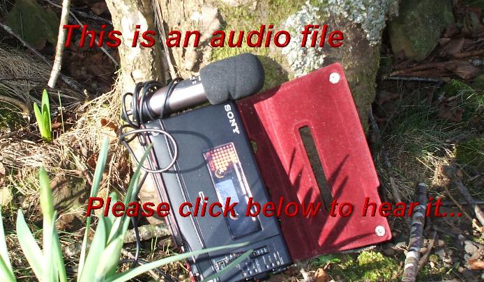 AUDIO -Sandy Bell - social life in Argyll villages