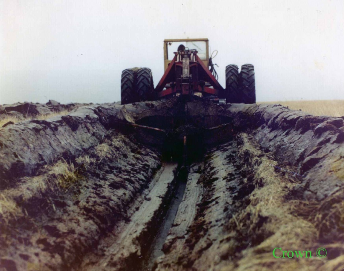 Deep double mouldboard Tine at Wauchope
