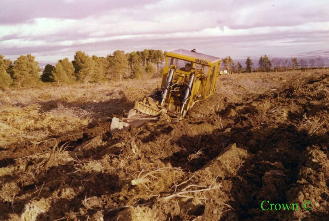 D7 ploughing on Black Isle site Expt 5