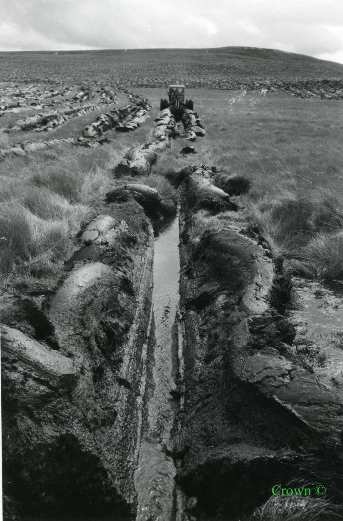 Double Mouldboard Plough trials Naver Forest