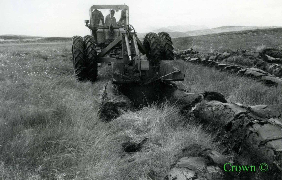 Double Mouldboard Plough trials Naver Forest