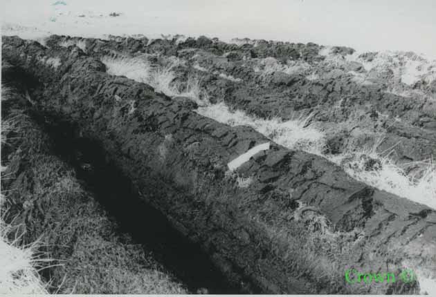 Double furrow ploughing trials at Whitelee Forest 