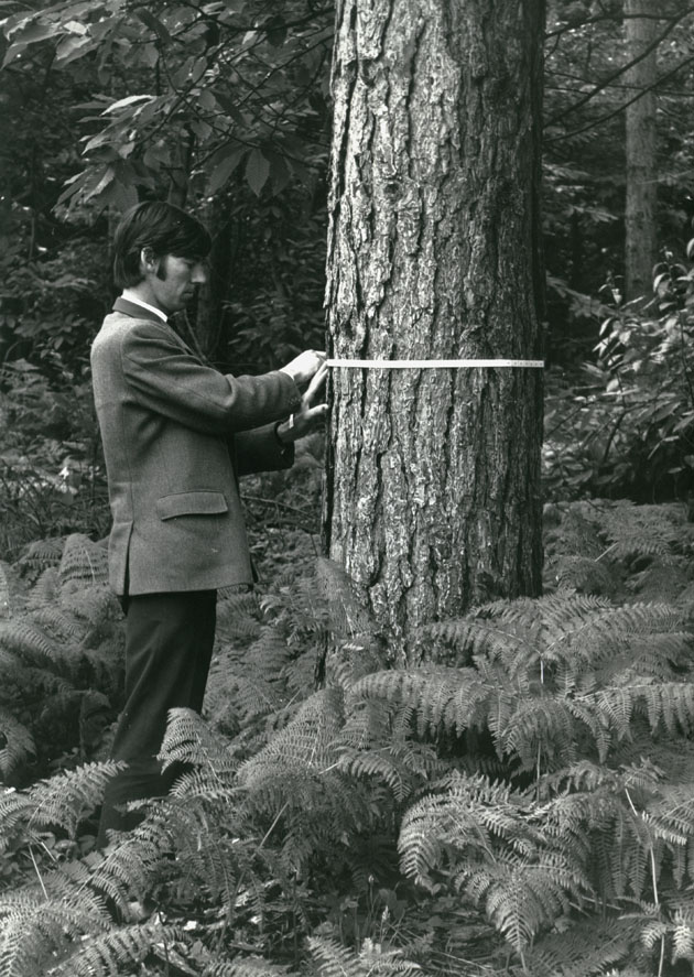 Demonstration photographs / metric timber measure