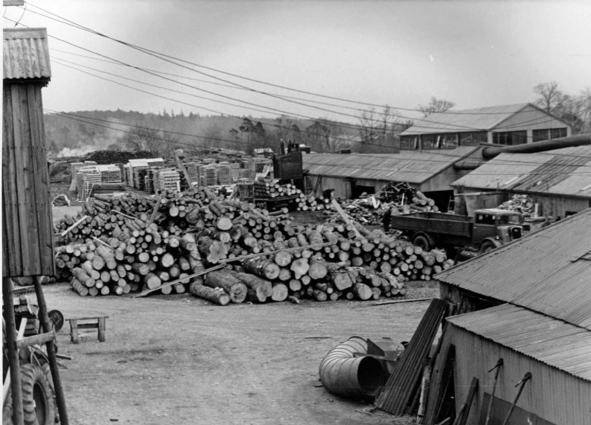 Silverbanks Sawmill processing windblown timber