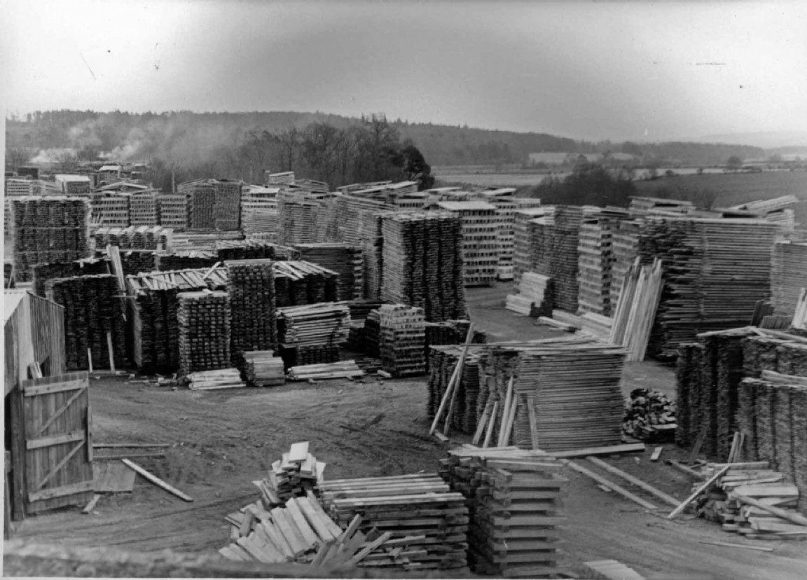 Silverbanks Sawmill processing windblown timber