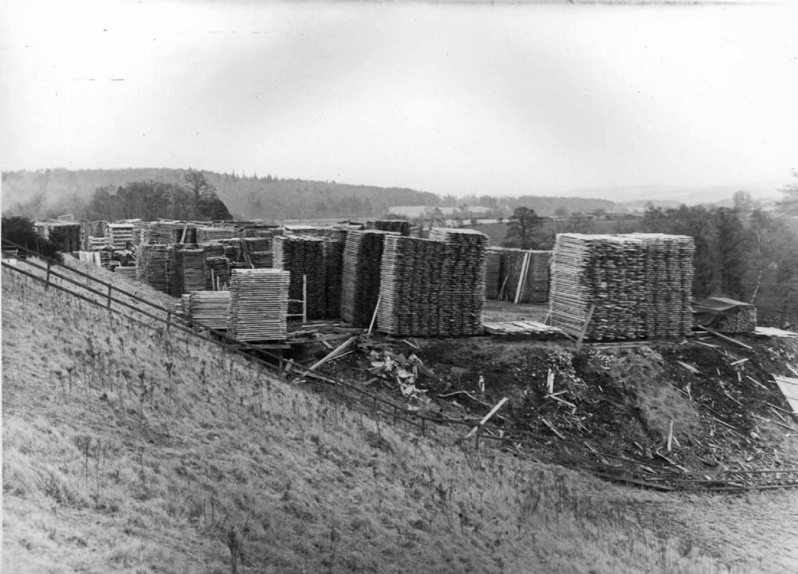 Silverbanks Sawmill processing windblown timber