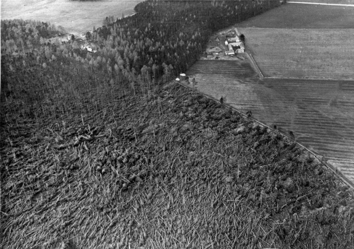 Ballindalloch Estate &mdash; Garaline Farm  1953 G