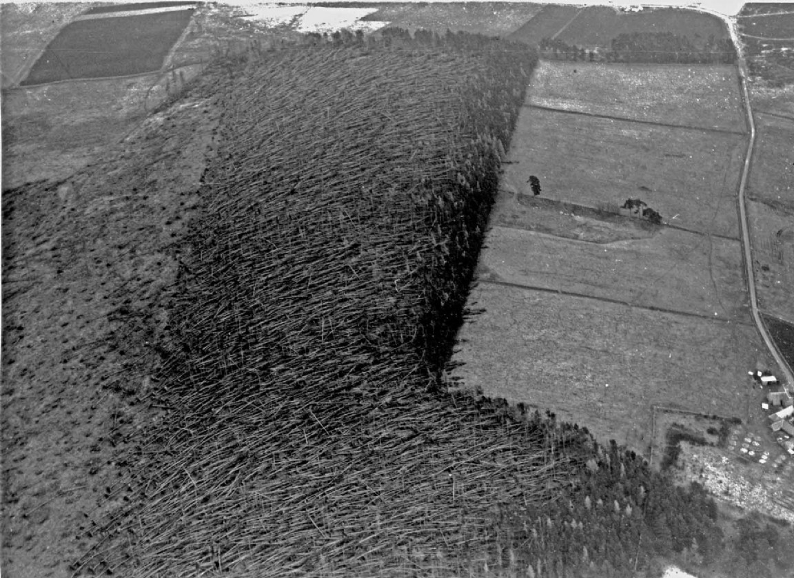 Ballindalloch Estate Tomfarclas wood 1953 Gale