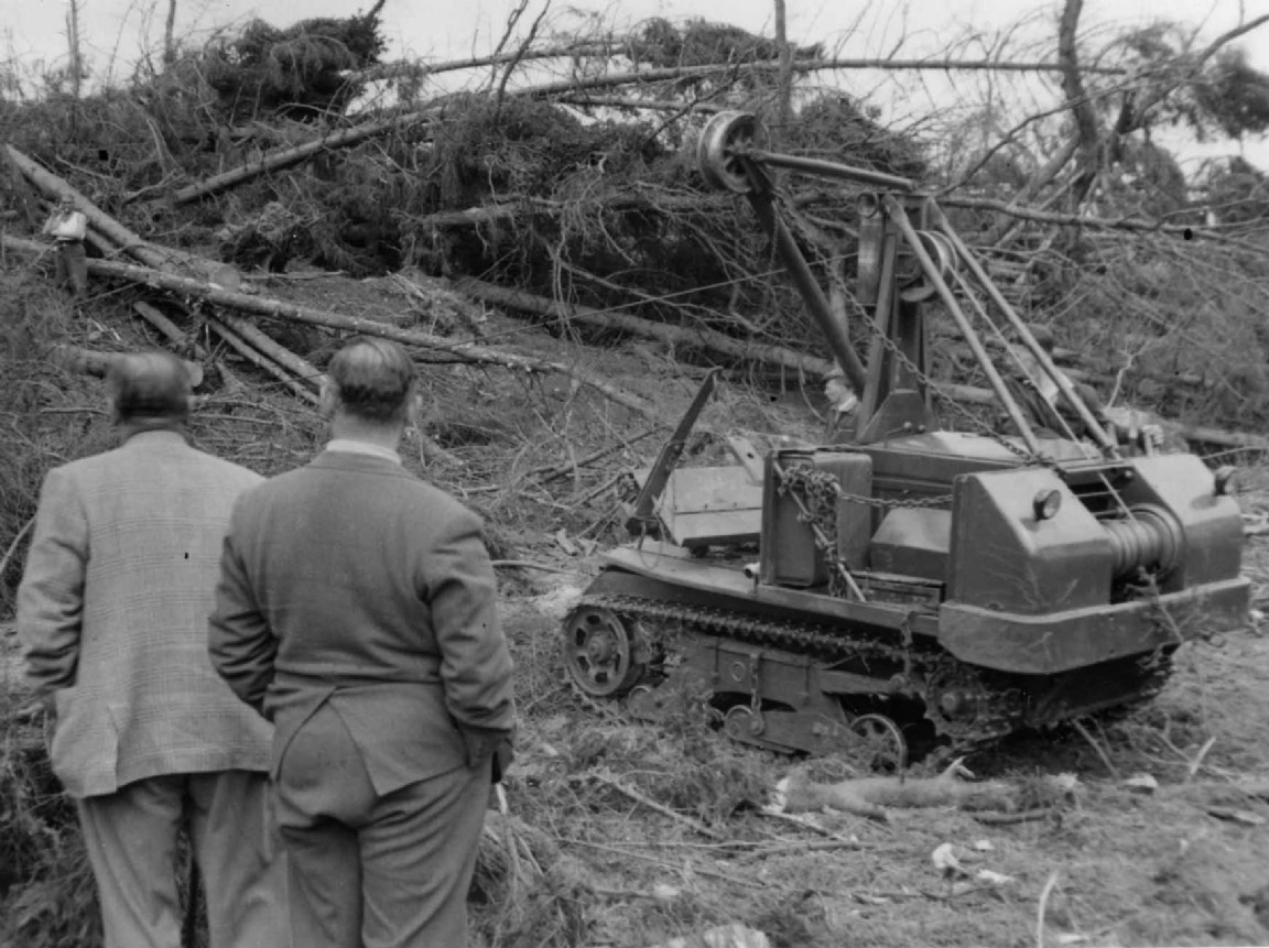 Motor Mule extracting timber from 1953 Gale