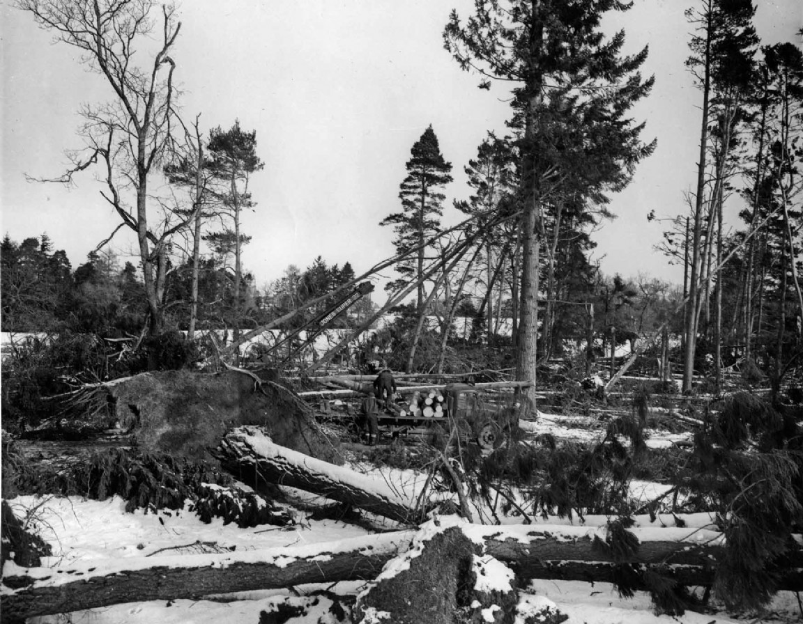 Crathes Estate &mdash; Clearing the road &mdash; 1