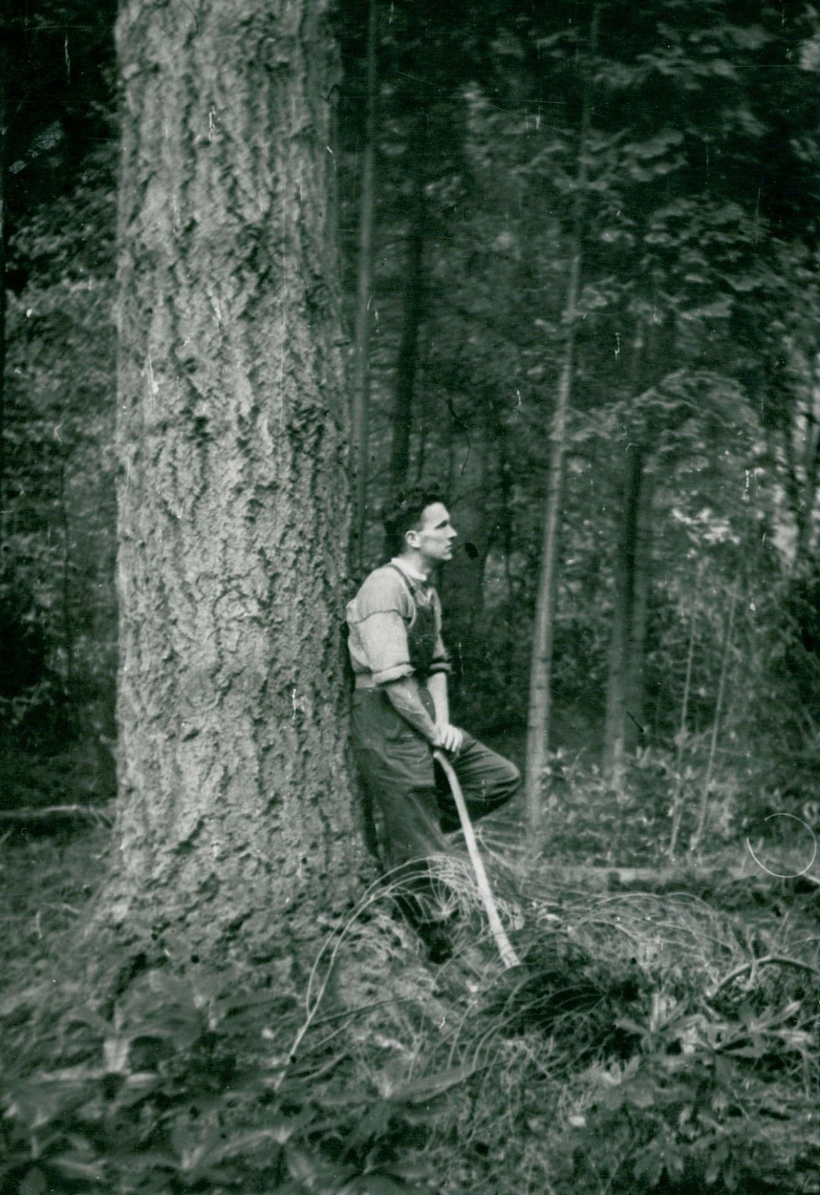 Sandy (Dhu) Nicolson at Benmore Forest School