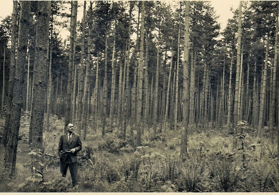 Bob Allison in SP seed stand Speymouth Forest