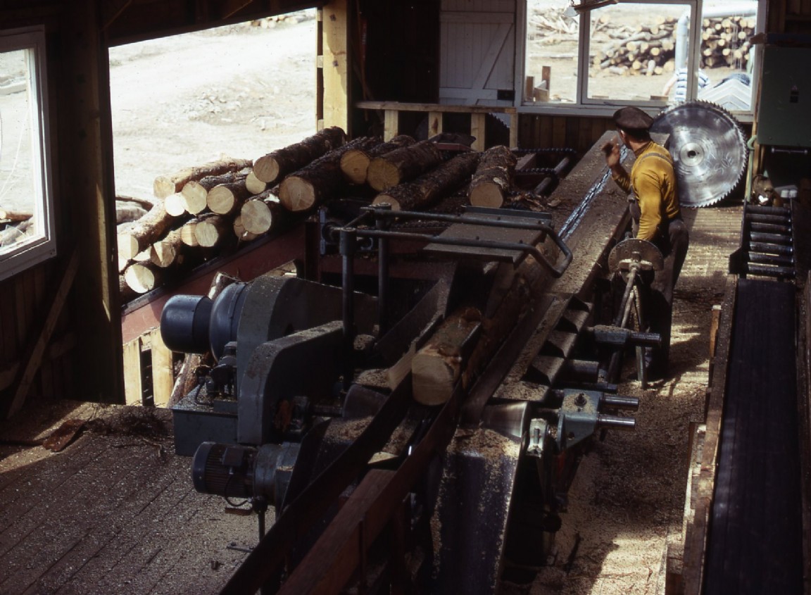 Riddoch of Rothiemay sawmill