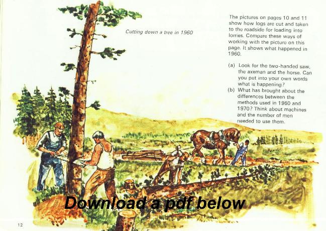  A study of a Scottish Papermill and Forest