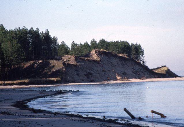 Culbin Forest and entrance to Findhorn Bay