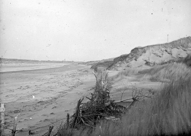 Roseisle Forest foreshore