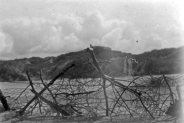 Roseisle Forest foreshore Comp 40