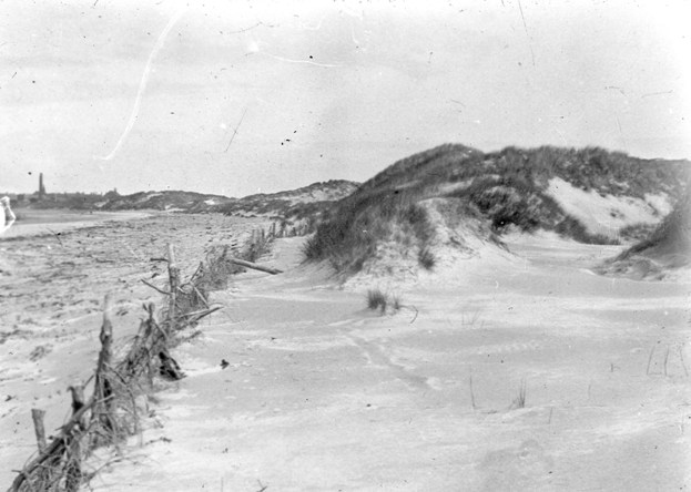 Roseisle Forest foreshore Comp 40